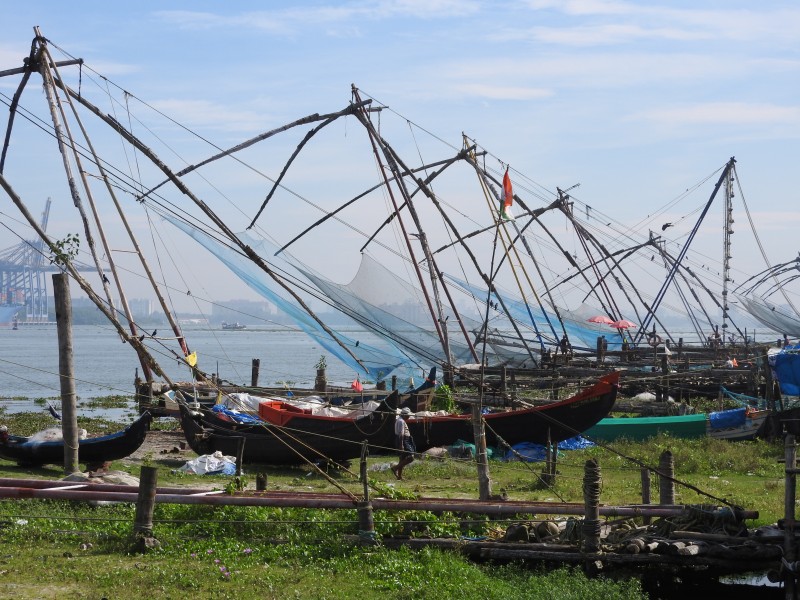 32 COCHIN Reti Cinesi